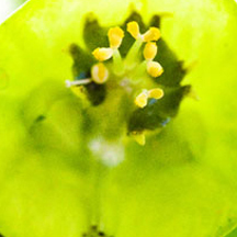 软件商城正规的在线ddos网页端